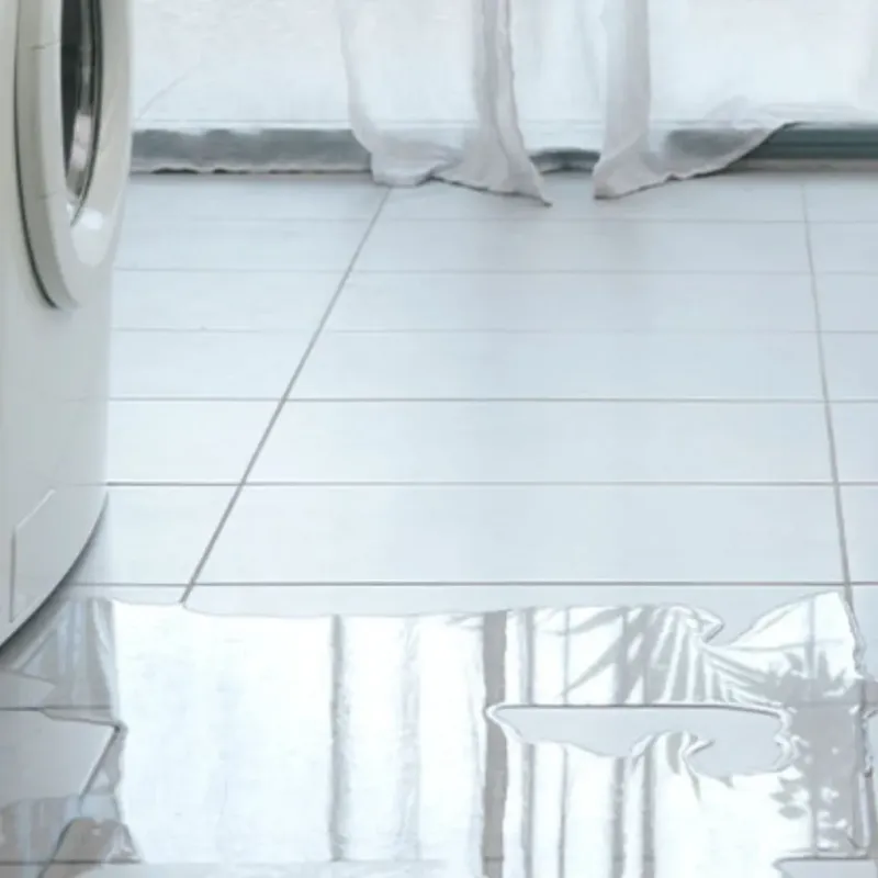 Appliance Leak Cleanup in Warm Springs, VA