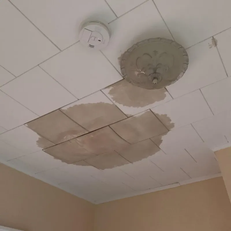 Ceiling Water Damage Repair in Warm Springs, VA