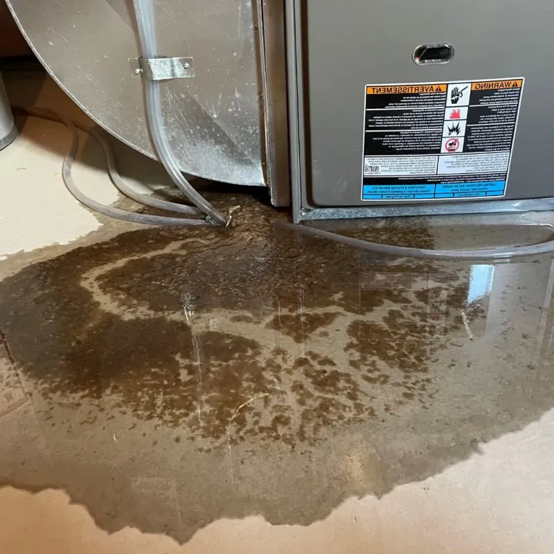 Pipe Burst and Leak Restoration in Warm Springs, VA
