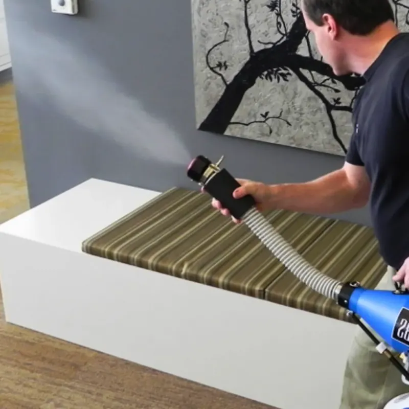 Professional Odor Removal in Warm Springs, VA