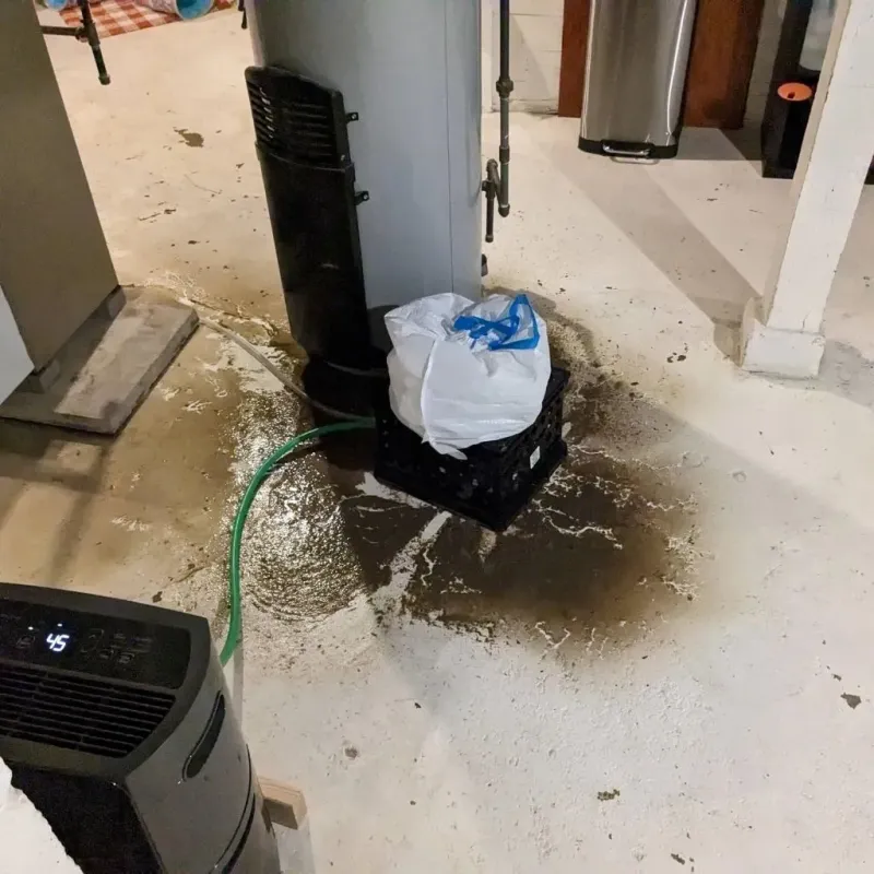 Sewage Backup Cleanup Service in Warm Springs, VA